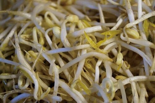 脂肪を増やす糖質を制限する「ローカーボ」とは?