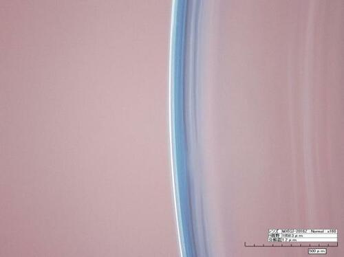16位: シンシア(Sincere)「エルコン ワンデー エクシード」 ワンデーコンタクトレンズおすすめ イメージ3