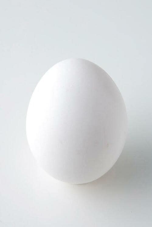 掃除ワザ1：卵の殻でミキサーの隠れ汚れを落とす イメージ