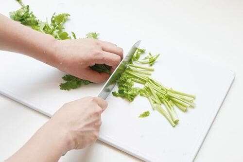 知ってた? 抗菌するなら木製よりプラスチック製なんです!