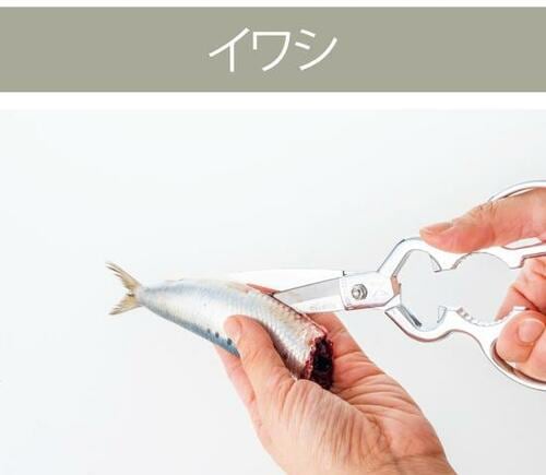 鋭い切れ味で魚もかための野菜もお任せ イメージ