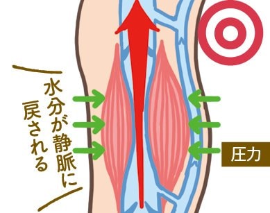 着圧をソックスをはくとどんな効果が期待できる？ 着圧ソックスおすすめ イメージ2