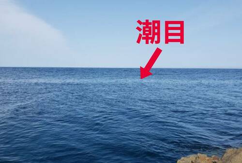 潮目がわかる海の画像