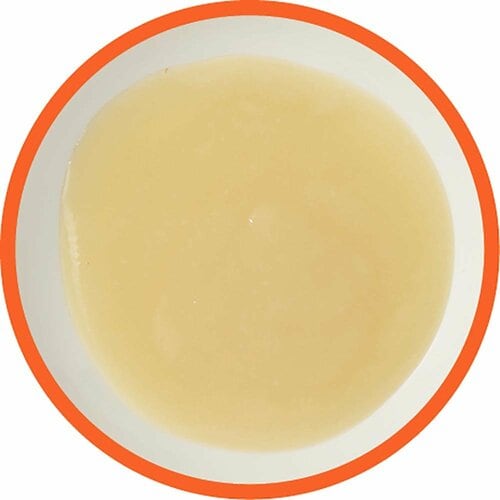 塩麹おすすめ マルコメ プラス糀 生塩糀 こしタイプ イメージ2