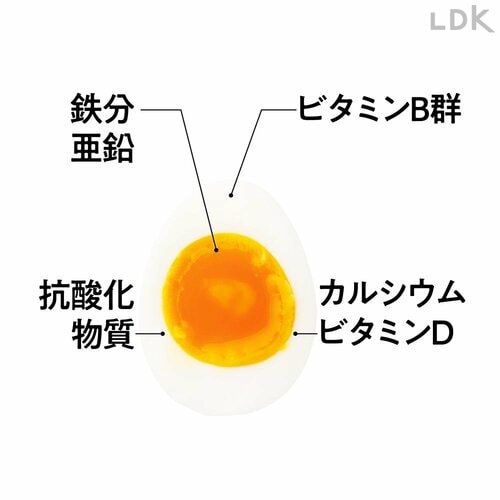 アミノ酸スコア100で超優秀なたんぱく源。抗酸化物質からカルシウムまで全部入り イメージ