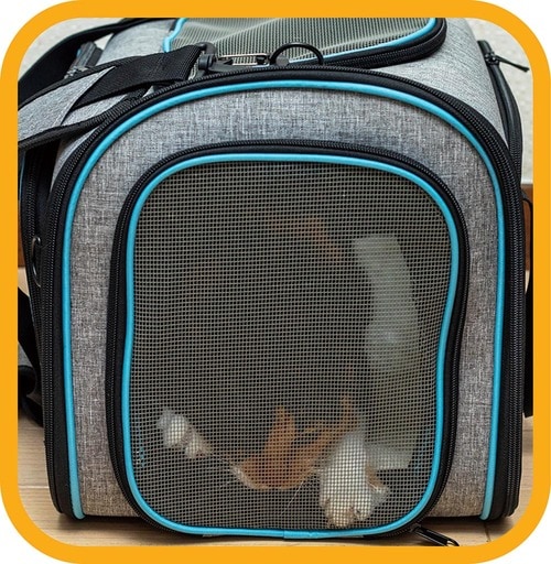 開閉口が狭くネコを出し入れしにくい 猫用キャリーバッグおすすめ イメージ