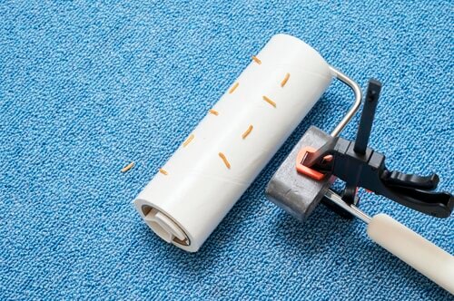 強力な粘着力で、申し分なし! 粘着クリーナーおすすめ イメージ