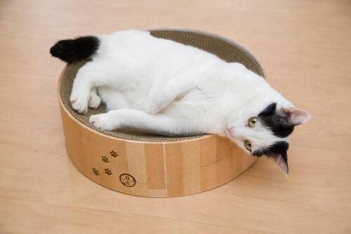 猫がくつろげる 猫用爪とぎおすすめ イメージ2