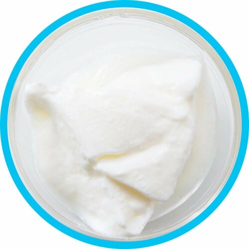 ヨーグルトおすすめ ホリ乳業 生乳100% 北陸のプレミアムヨーグルト イメージ2