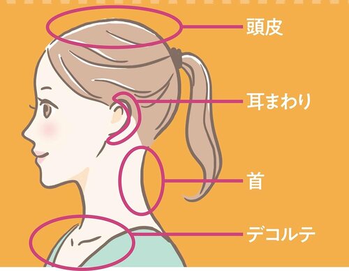 日傘のおすすめランキング 日焼け部位イラスト