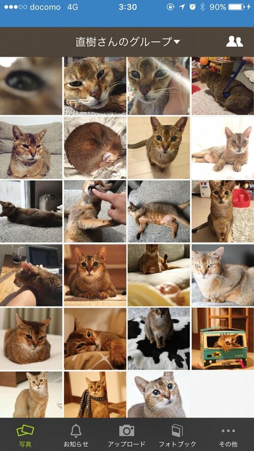 【Q2】安く手軽に愛ネコの写真集を作りたい イメージ