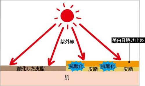 Q.ホワイトニングなら美白も叶う?A.皮膚が黒ずむのは抑えられます