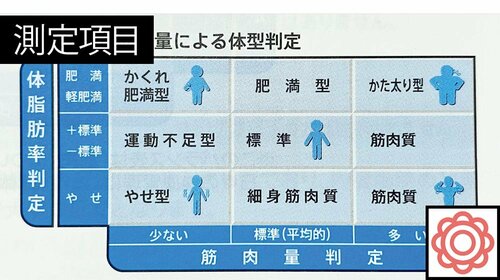 12項目計測できて隠れ肥満を見逃さない イメージ