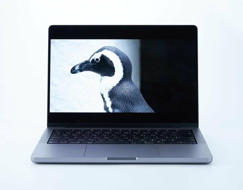 映像画質 ノートPCおすすめ イメージ2