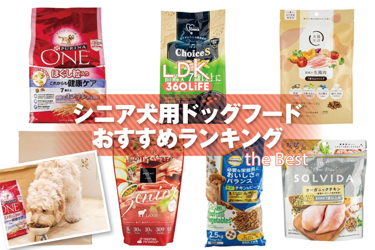 【2026年】シニア犬用ドッグフードのおすすめランキング7選。ペット栄養管理士と人気商品を比較 | 犬用品・ドッグフード | 360LiFE(サンロクマル)