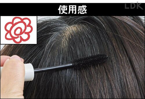 大きめブラシで塗りやすい 白髪隠しおすすめ イメージ