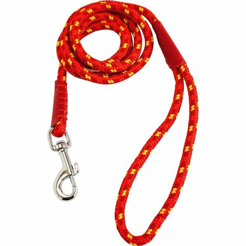 犬用リードおすすめ コーナン  LIFELEX  カラフルドッグリード 小型犬用 イメージ