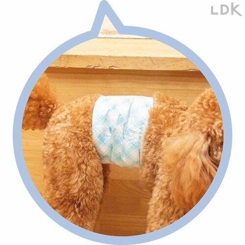 着脱がしやすい 犬用おむつおすすめ イメージ