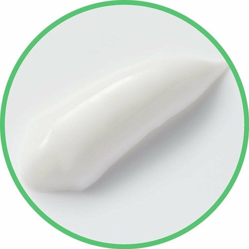 歯磨き粉おすすめ 銀座ステファニー化粧品 ルチペッロ ミスティックフォレスト イメージ2