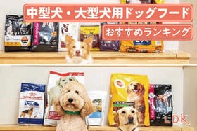中型犬・大型犬用ドッグフードのおすすめランキング。LDKが市販の人気商品を比較