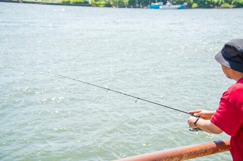 フロロカーボンラインのメリットとデメリットは？ フロロカーボンラインおすすめ イメージ2