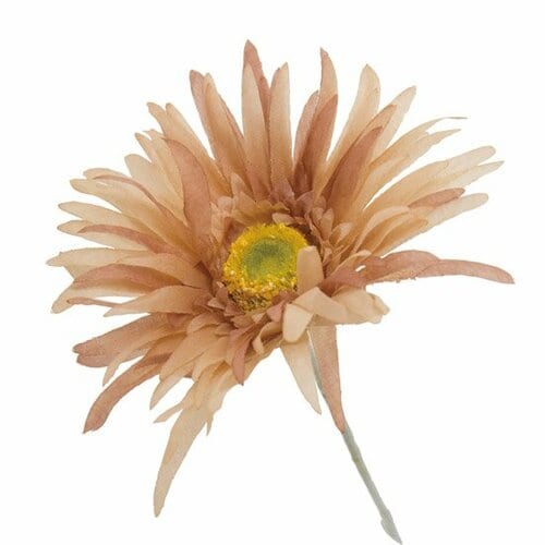 ダイソー:アンティーク調ガーベラ