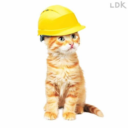 猫の命を守る防災グッズとは？ 猫の防災グッズおすすめ イメージ