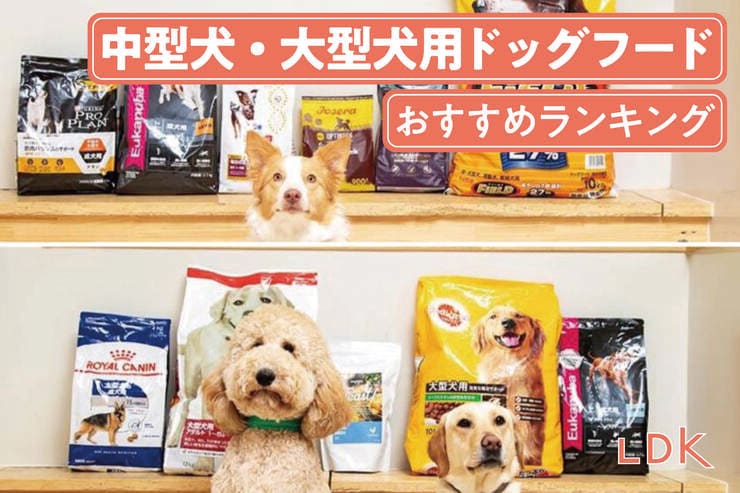 中型犬・大型犬用ドッグフードのおすすめランキング。LDKが市販の人気商品を比較