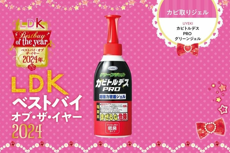 「ここのカビ、落ちるんだ！」お風呂のパッキン掃除なら「カビトルデスPRO」 【LDKベストバイ2024】