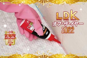 お風呂の黒カビ取りなら「カビトルデスPRO」。頑固なパッキン汚れもスッキリ【LDKベストバイ2022】