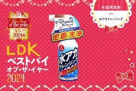 水まわりに常備させとこ！ 白っぽいカス汚れにさよならできるのは「水アカクレンジング」【LDKベストバイ2024】