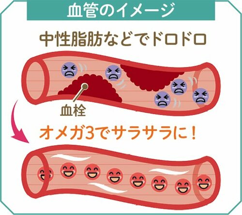 ［流行①］健康成分を含んだ「アマニ油入り」が急増中！ イメージ
