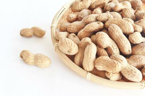健康にいい！栄養価の高いピーナッツに熱視線 イメージ