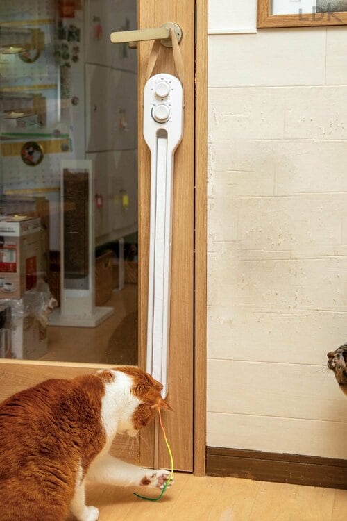 ベルトで固定できる 猫用おもちゃおすすめ イメージ
