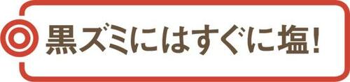 木製まな板をより長持ちさせる3つのテクニックを大公開!