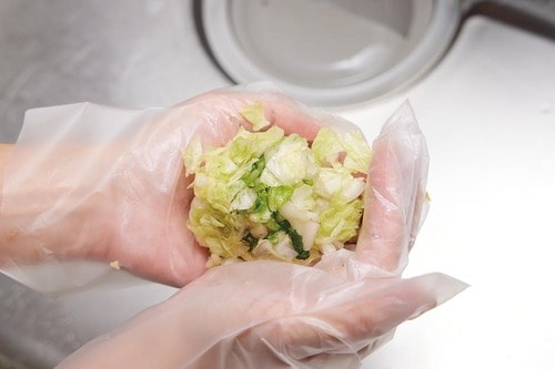 おすすめレシピ1：シャキッと白菜の酸味がクセになる「ぬか漬け入り餃子」 イメージ2