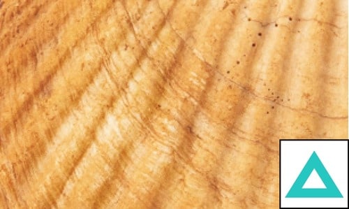 即効ホワイトニング力 ホワイトニングジェルおすすめ イメージ