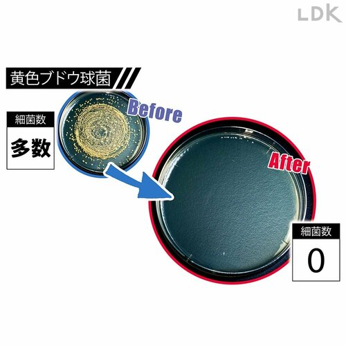黄色ブドウ球菌 Before/After 安いアルコール除菌スプレーおすすめ イメージ