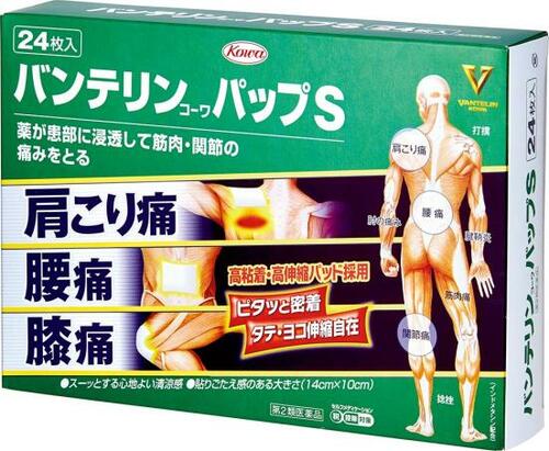 興和(Kowa):バンテリンコーワパップS:湿布