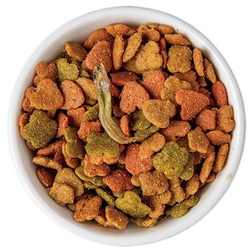 猫用ドライフードおすすめ ユニ・チャーム 銀のスプーン 贅沢素材バラエティ まぐろ・かつお・白身魚味 イメージ2