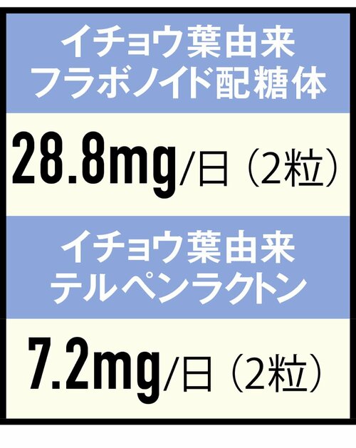 成分：摂取目安量とほぼ同量で理想的 イチョウ葉エキスサプリおすすめ イメージ