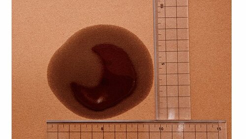 ベストバイは持続力No.1M.モゥブレィ プロテクターアルファ