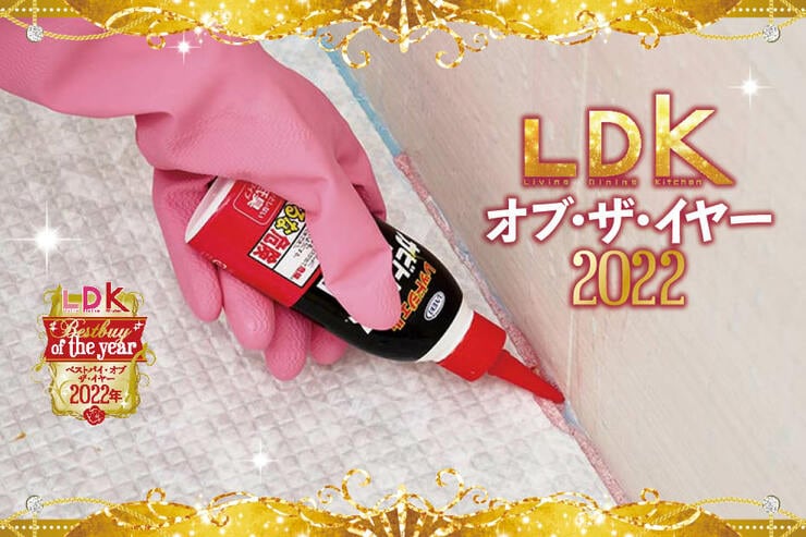 お風呂の黒カビ取りなら「カビトルデスPRO」。頑固なパッキン汚れもスッキリ【LDKベストバイ2022】