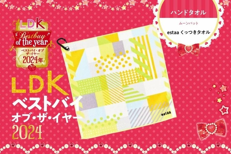 【地味に便利】濡れた折りたたみ傘の収納問題、くっつきタオルで解決です【LDKベストバイ2024】