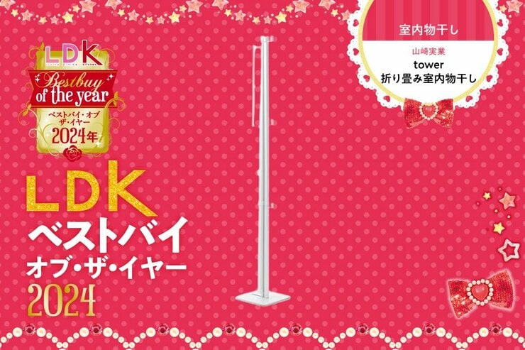 買ってよかった！ “使わないとき超スリムになる”物干しで冬のお洗濯もノンストレス【LDKベストバイ2024】