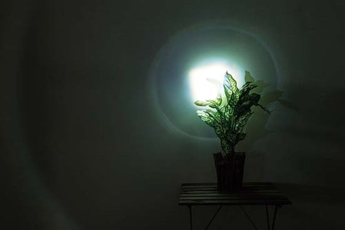明るく、小さく、ズームあり常備用に買うならLightning EVER