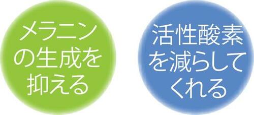 メリット1:シミのもとをダブルで抑える