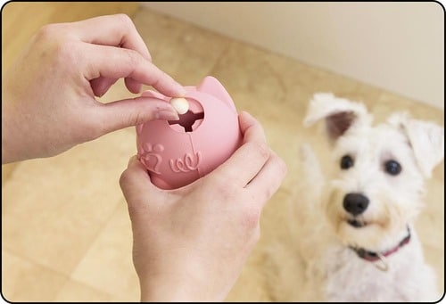 入れるおやつのサイズで難易度が変わる 犬用おもちゃおすすめ イメージ