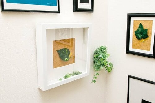 フレームとアートプラントの組み合わせがおしゃれポイント！ イメージ3