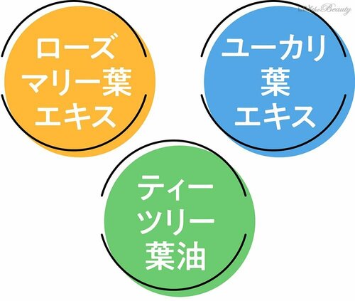 植物エキスを配合 女性向けスカルプシャンプーおすすめ イメージ